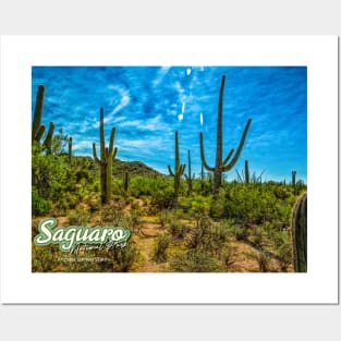 Saguaro National Park Posters and Art